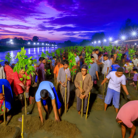 Community members unite to plant saplings along a riverbank at twilight.