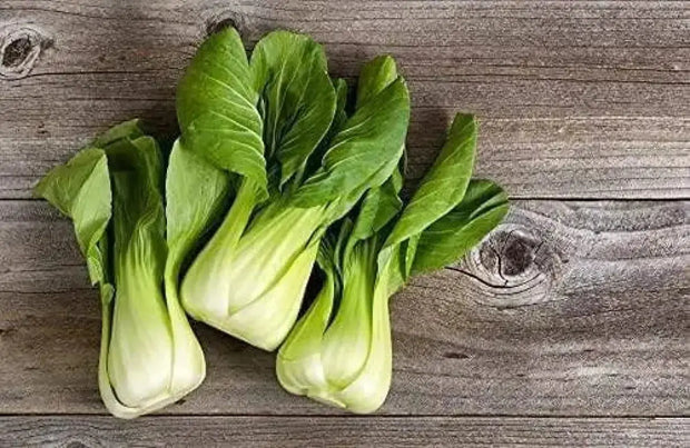 3000 Seeds Green Bok Choy Seeds Sweet Cabbage Salad Seeds Pok Choy bok Choi Chinese White Cabbage Chinese Cabbage Organic Vegetable Planting Non-GMO - The Rike Inc