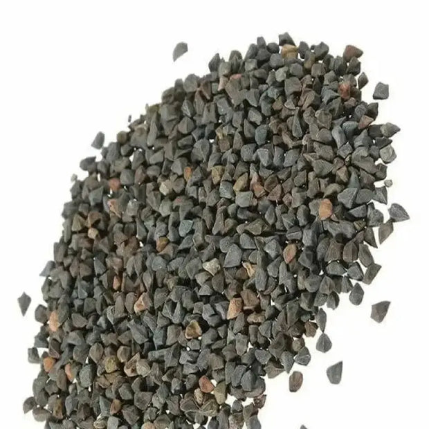 3000 Seeds Saluyot Seeds Mulukhiyah Seeds, molokhia Seeds, molokhia Plant Seeds - The Rike Inc