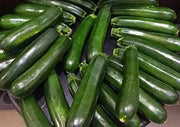 100 Seeds Dark Green Zucchini Squash Seeds Vegetable Seed Heirloom Non-GMO with Free Bandana Mask - Image #6