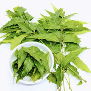 4 pack x 100 gram neem leaves tea - Image #6