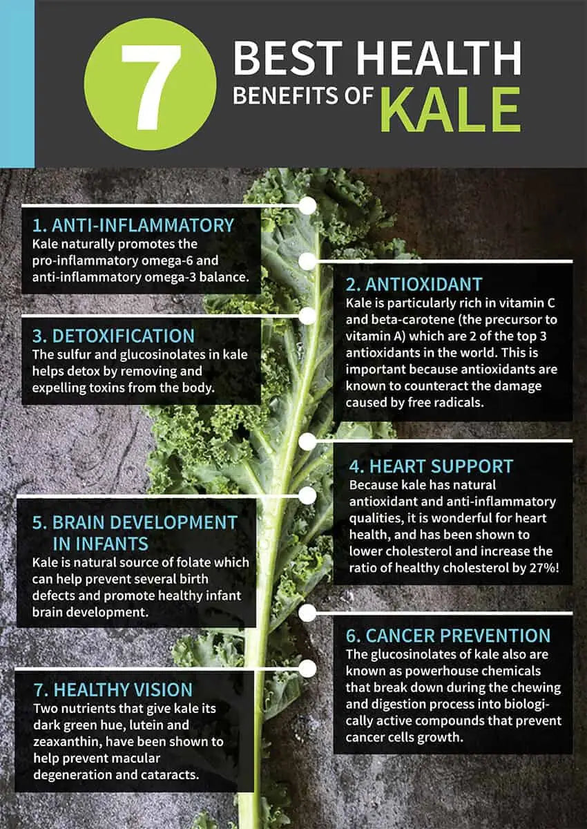Health benefits of kale - Dr. Axe