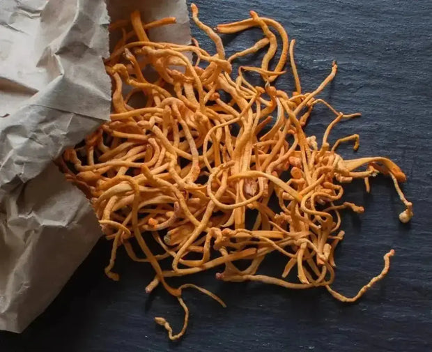 The Rike 100 Gram Dried Mushroom Cordyceps Militaris Fungus Chong Cao Hua Whole Real Authentic Organically Grown Herb Cordyceps Flower Herbal Tea Jin Chong Cao Mushroom - The Rike Inc