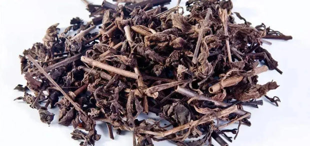 100-gram - Nhan Tran tea leaf Sticky adenosma tea Adenosma glutinosum Leaf Hoa mom soi, Tuyen huong lam Che noi Che cat, Adenosmatis Caerulei The Rike