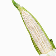 300 Seeds - Waxy Corn Seeds or Sticky Corn Seeds for Planting - Bap NEP Deo, Sweet Corn, Sticky Corn - Glutinous Corn or White Corn Sticky Sweet Corn Seeds - Non-GMO & Easy to Grow - The Rike Inc