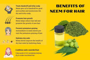 4 pack x 100 gram neem leaves tea - Image #4