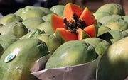 150 Mexican Papaya Seeds for Planting Carica Papaya Seeds, Papaya, Pawpaw, Asimina triloba Organic Non-GMO - The Rike Inc