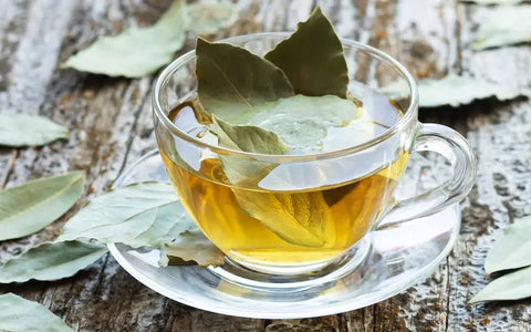 Bay Leaf: Health Benefits, Nutrition, And Uses