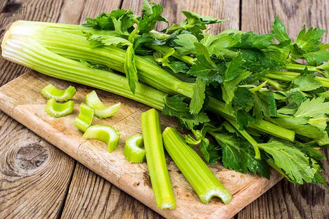 A Full Guide & Tips On How To Grow Celery From Seed