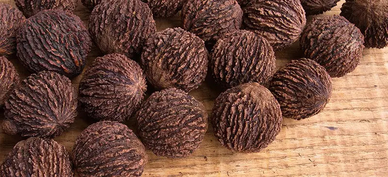 Black walnut - Dr. Axe