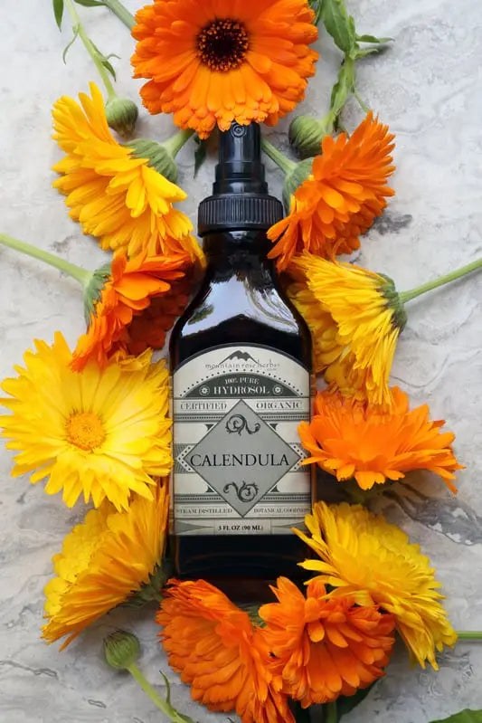 Bottle of organic calendula hydrosol surrounded by fresh colorful calendula flowers on marble slab