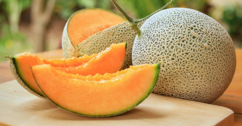 How to prepare fresh cantaloupe seeds for planting - All tips you need to know