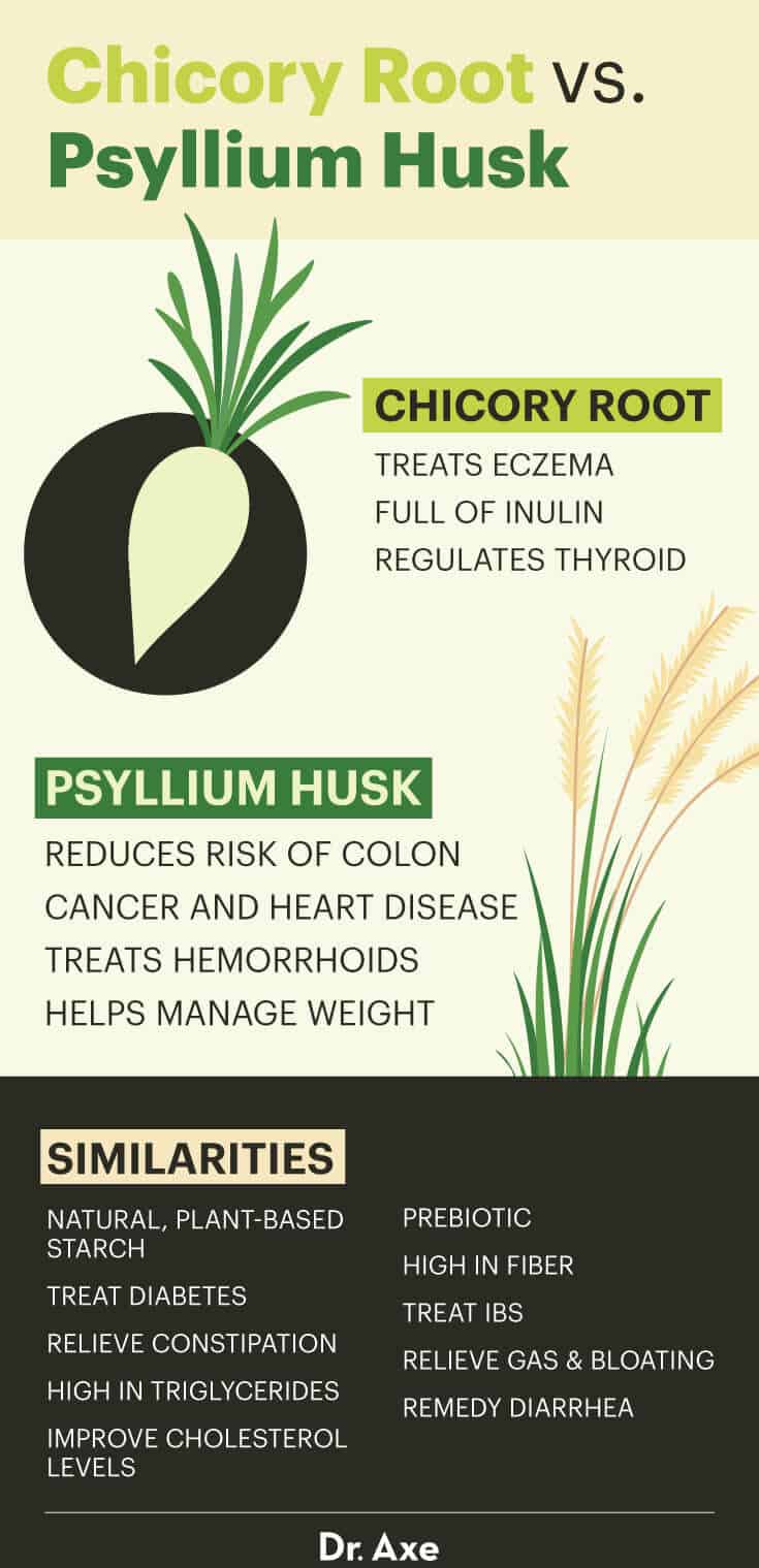 Chicory root vs. psyllium husk - Dr. Axe