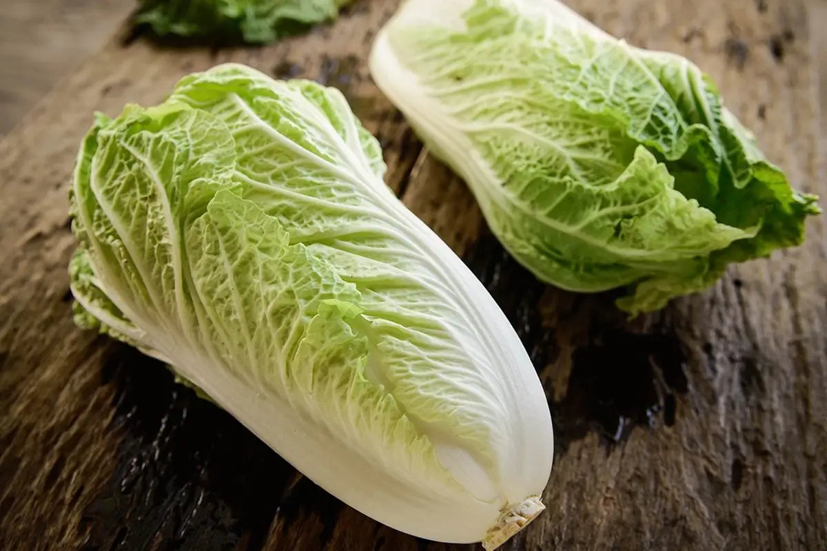 What Is Chinese Cabbage? Plus, How to Cook It | Taste of Home