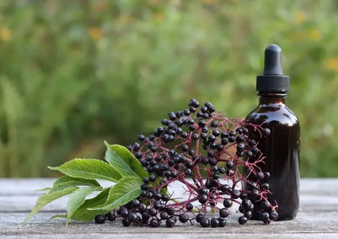 Elderberry-Tincture-for skincare