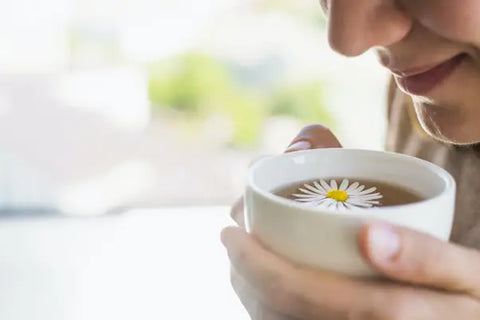 Guide to Drinking Flower Tea - All information you need