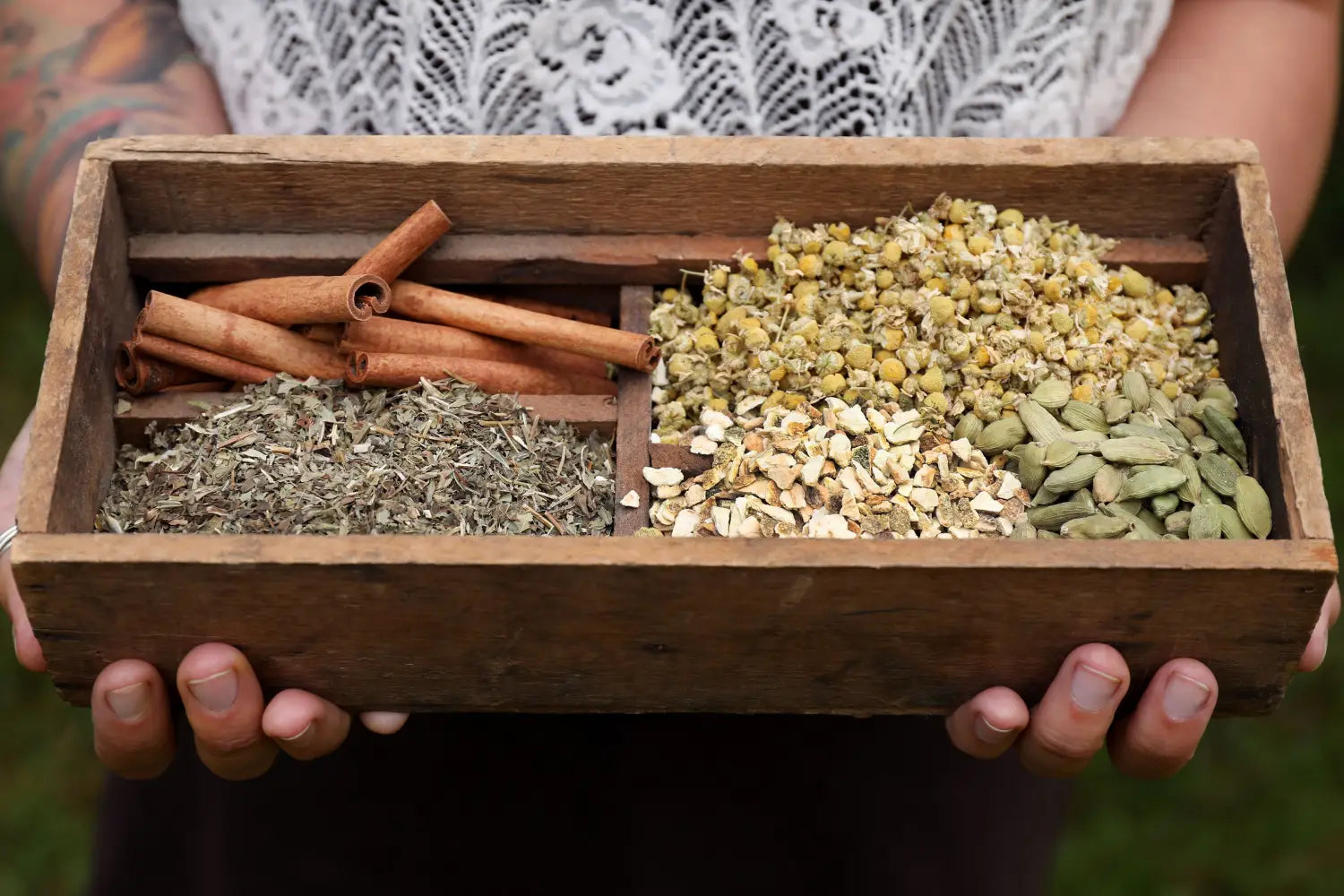 A wooden box filled with dried herbs including cinnamon sticks, chamomile flowers, cardamom pods, and dried roots and leaves. 