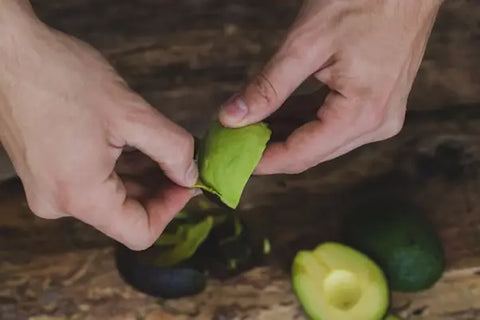 How to grow an avocado from seed