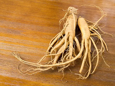 Is Panax Ginseng The Same As Red Ginseng?