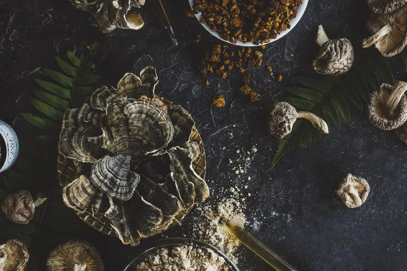 Turkey tail, shiitake and chaga mushrooms. 