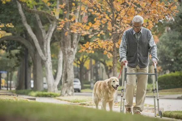 Prevent Parkinson’s Disease 