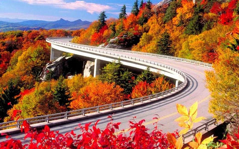 Curved highway bridge winding through vibrant autumn foliage on a sunny day.
