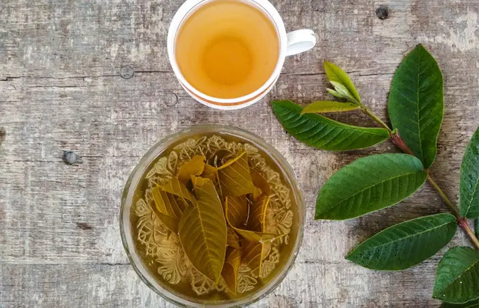 16 Useful Guava Leaves Benefits For Your Hair, Skin, & Health