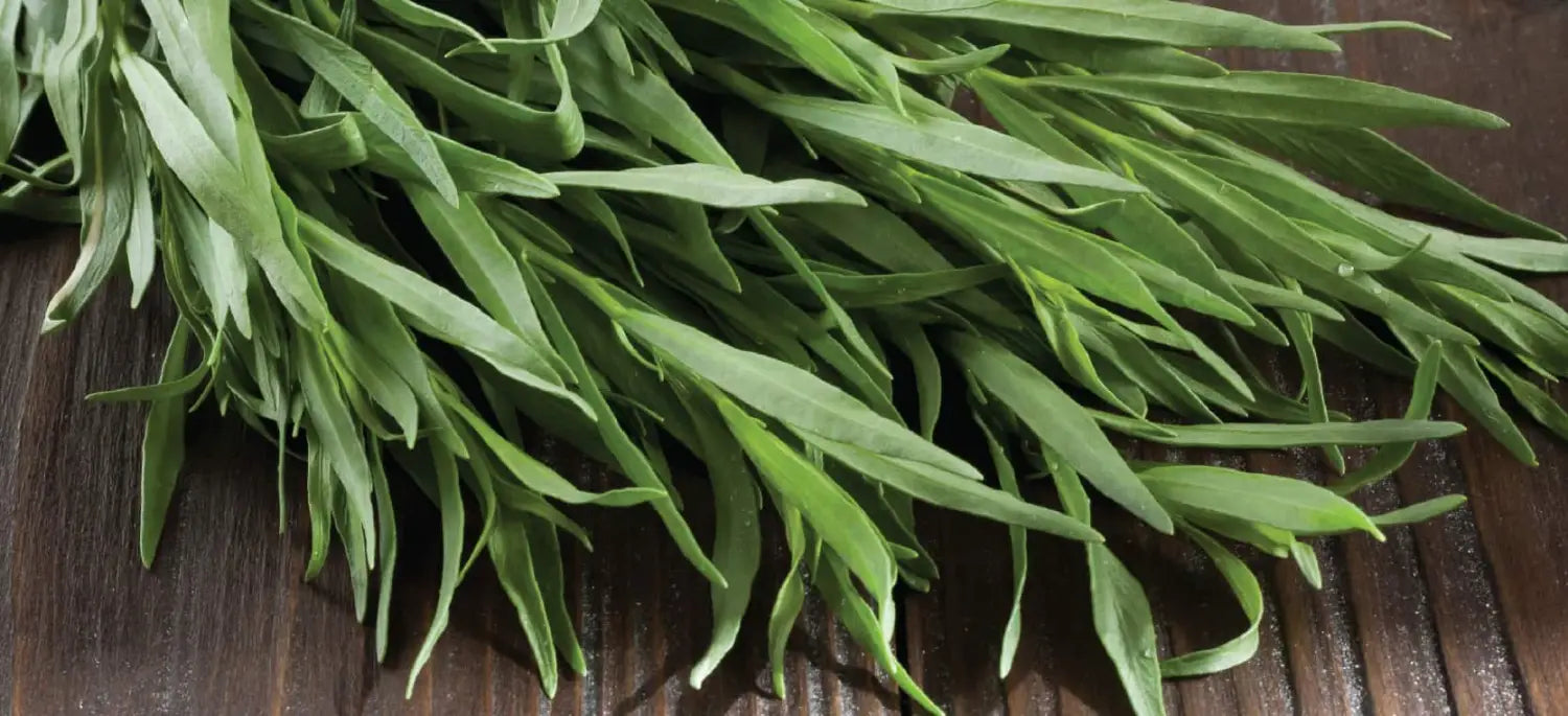 Tarragon benefits - Dr. Axe