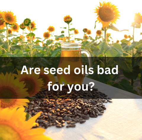 Are seed oils bad for you?