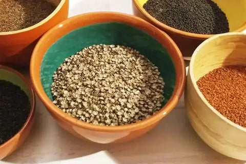 Where to Buy Seeds for Microgreen? - Tips for Finding Reliable Suppliers
