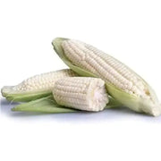 300 Seeds - Waxy Corn Seeds or Sticky Corn Seeds for Planting - Bap NEP Deo, Sweet Corn, Sticky Corn - Glutinous Corn or White Corn Sticky Sweet Corn Seeds - Non-GMO & Easy to Grow - The Rike Inc