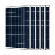ACOPOWER 100 Watt Poly Solar Panel Fuchsia Rose