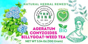 Ageratum conyzoides Herbal Tea billygoat-weed tea chick weed goatweed, whiteweed mentrasto Cut Lon