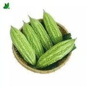 30 Seeds Green Skin Long Bitter Gourd Seeds Bitter Melon Seeds Ku Gua Asian Vegetable Karela Momordica charantia Vegetable Seeds Khổ Qua Mỡ Trái Dài Great germinations - The Rike Inc