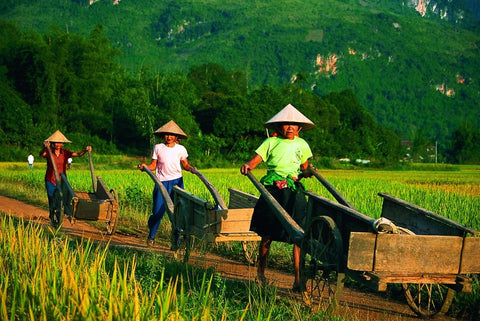 Ensuring Environmental Sustainability