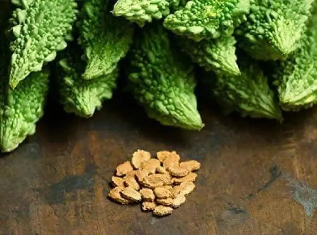 60 Seeds Bitter Melon Seeds Chinese Bitter Gourd Karela Gourd Seeds