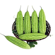 200 Seeds Bitter Melon Seeds Chinese Bitter Gourd Karela Bitter Gourd Seeds - The Rike Inc