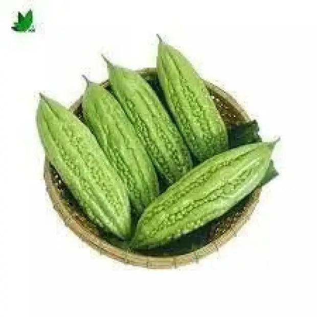 200 Seeds Bitter Melon Seeds Chinese Bitter Gourd Karela Bitter Gourd Seeds - The Rike Inc