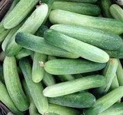 100 Cucumber Seeds Cucumis Sativus Seeds Vegetable Seeds, 100% Organic Non-GMO - Image #2
