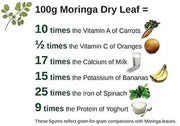 Dried Moringa tea herb Moringa Oleifera loose leaves Non-GMO tea herb All-Natural - Caffeine-Free Drumstick Tree Herbal Tea - 100 Gram - The Rike Inc