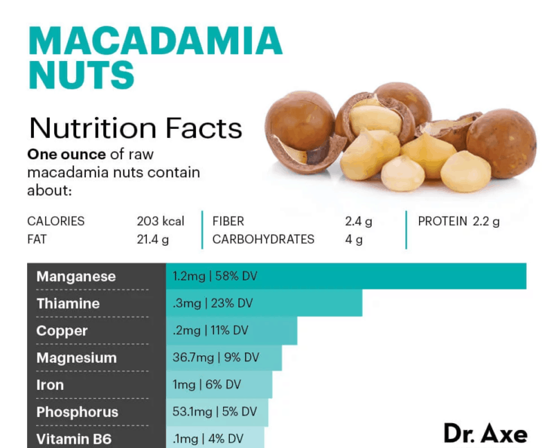 Macadamia nuts - Dr. Axe