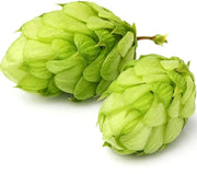 30 Seeds - Hops Vine Seeds - Perennial Humulus Lupulus Hops Seeds for Planting | Climbing Vine Plant Seed to Grow Hops Bine/Hop Cones - Beer Flower Lupulin Plant to Make Beer - The Rike - The Rike Inc