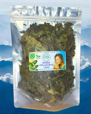 Celastrus Leaf Tea Herbal Tea Xa Den Tea Leaf Celastrus hindsii stems leaves Staff Vine Staff Tree Bittersweet loose tea Boost Energy - 100 Gram - The Rike Inc