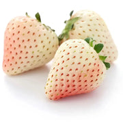 800 Seeds - White Strawberry Seeds - White Alpine Strawberry Seeds for Planting White Alpine Strawberries Snowberry | Pearl White Strawberry / Arctic Bliss Vanilla / Frost Moonlight Berry Seeds - Image #2
