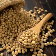 600 seeds - Soybean Seed - Edamame Soy Pod Soya Bean Seed - Soy Legume Bean Sprout - Asian Bean Seed Asian Green Seed for Your Home Vegetable Garden - The Rike - Image #4