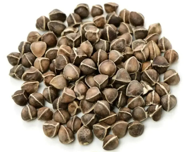 250 Seeds Moringa Oleifera Seeds for Planting Drumstick Seeds Non-GMO moringa plant seeds for Sprouting, Planting, Cooking Seeds large package ($4.5 shipping charge customer)