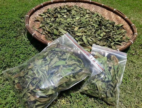 dried neem leaf tea
