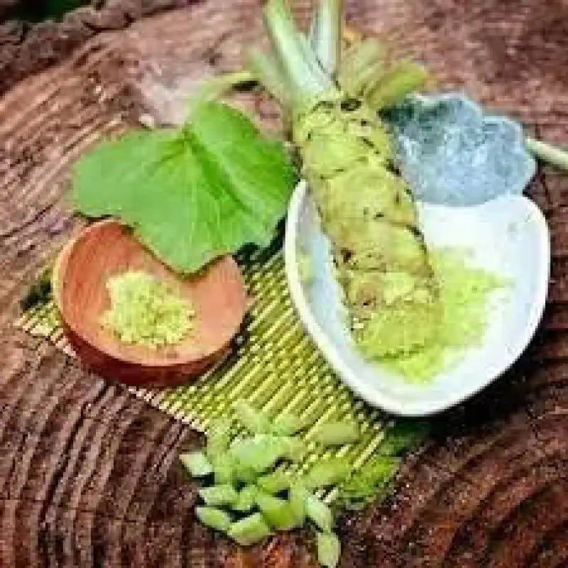 Wasabi seeds for planting (Eutrema japonicum): cool shade, living water,  patient harvest 150 seeds