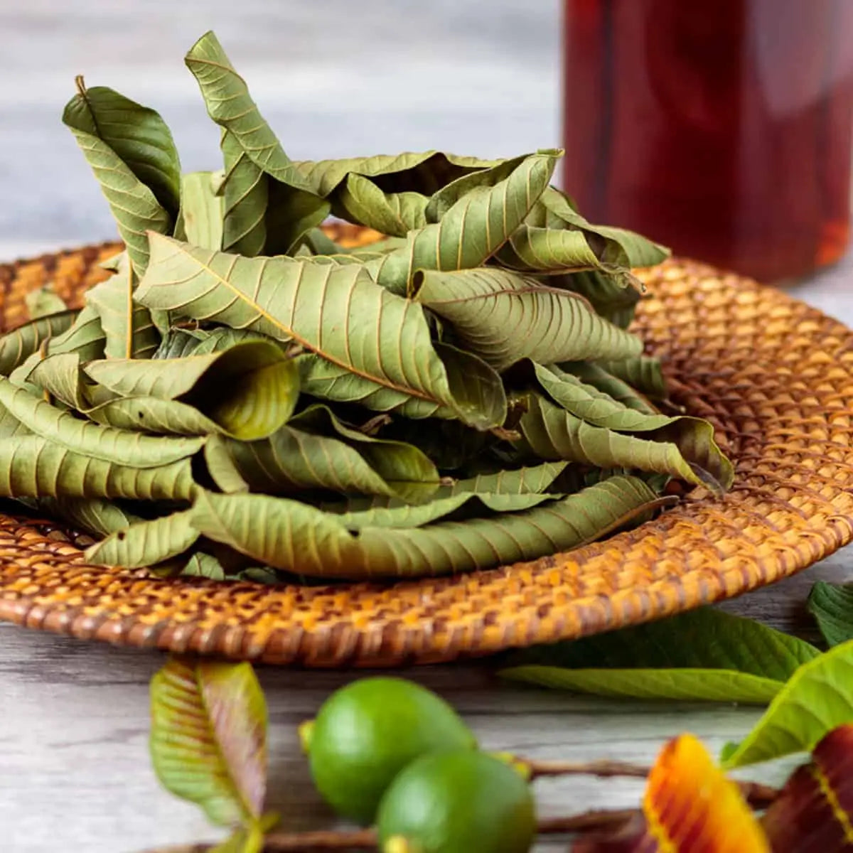 How to Make Guava Leaf Tea - Poppys Wild Kitchen