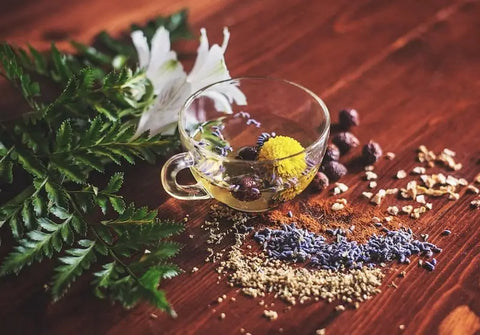 What Is Herbal Medicine: Its Benefits, Side Effects & Uses Q&A